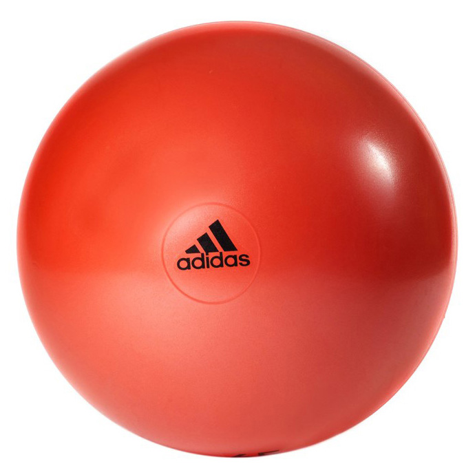 Gym Ball – 65cm